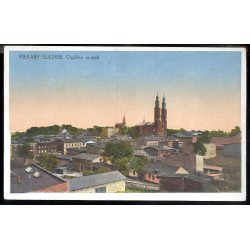 Piekary Śląskie. Ogólny widok