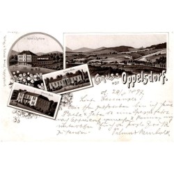 Gruss aus Oppelsdorf. Hôtel z. Curhaus. Carola-Bad. Albert-Bad. No 643.