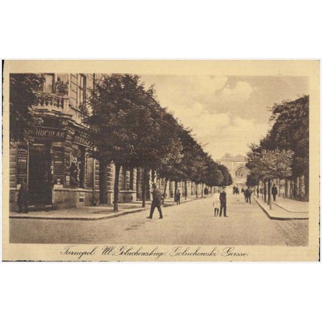Tarnopol. Ul. Gołuchowskiego. Gołuchowski-Gasse
