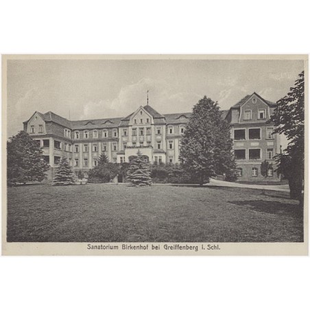 Sanatorium Birkenhof bei Greiffenberg i. Schl