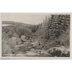 Riesengebirge. Krummhübel. Lomnitzal. w.9