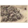 Borsuki - Zwierzyniec w Lesie Wolskim. Fot. St. Mucha [...]