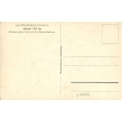 Borsuki - Zwierzyniec w Lesie Wolskim. Fot. St. Mucha [...]
