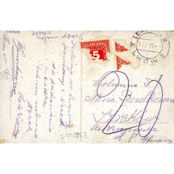 [Typ galicyjski - huculski (?)]