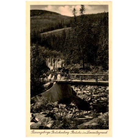 Riesengebirge: Brückenberg. Brücke im Lomnitzgrund