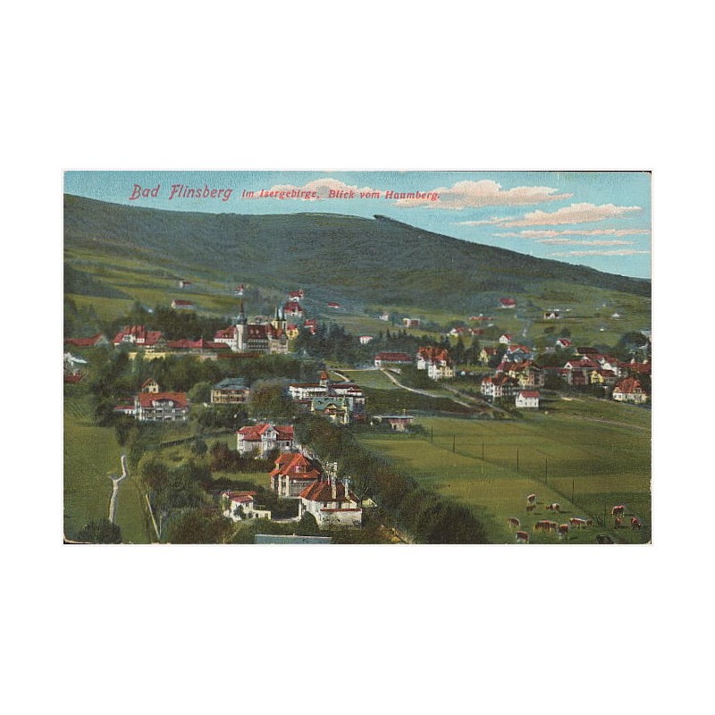 Bad Flinsberg im Isergebirge. Blick vom Haumberg