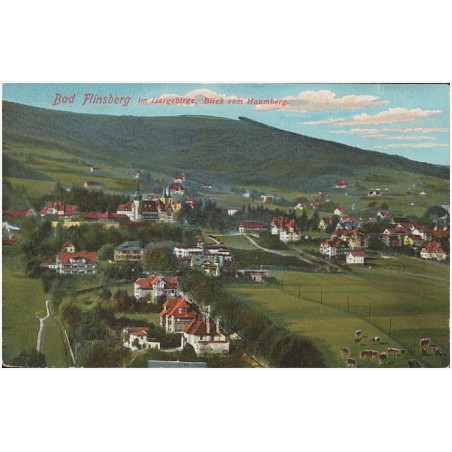 Bad Flinsberg im Isergebirge. Blick vom Haumberg