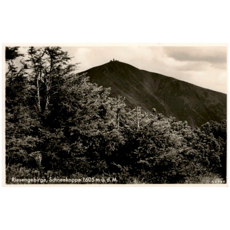Riesengebirge, Schneekoppe 1605 m ü. d. M. 48735