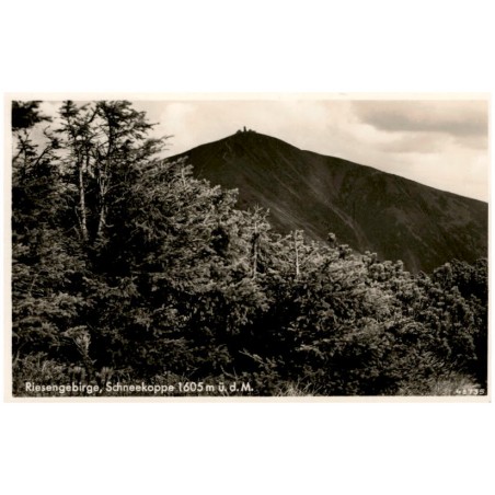 Riesengebirge, Schneekoppe 1605 m ü. d. M. 48735