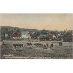 Riesengebirge. Partie in Schreiberhau-Marienthal. Blick auf Villen Mathai etc