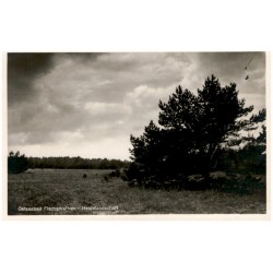 Ostseebad Fischerkathen - Heidelandschaft / Rewers: Ostseebad Fischerkathen Kr. Greifenberg i. Pommern