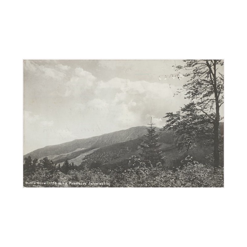 Babia Góra (1725 m) z Przełęczy Jałowieckiej. Fot. T. Zamojski