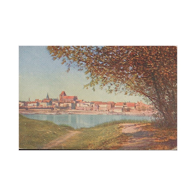 Die Ordensbauten, Thorn, Serie 1. Thorn - Blick auf die alte Ordenfeste von der Bazarkämpe aus