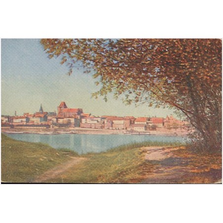 Die Ordensbauten, Thorn, Serie 1. Thorn - Blick auf die alte Ordenfeste von der Bazarkämpe aus
