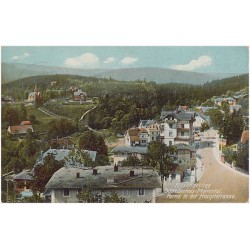 Riesengebirge. Schreiberhau-Mariental. Partie in der Hauptstrasse