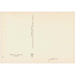 Thorn. St. Johann. Westfront. 32