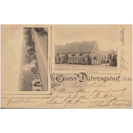 Gruss aus Dühringshof. Dühringshof mit Wald. Riegers Brauerei