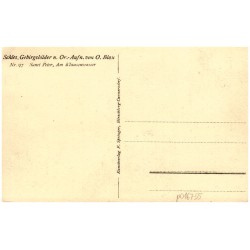Schles. Gebirgsbilder n. Or.-Aufnahme von O. Blau. Nr 97. Sanct Peter, Am Klausenwasser
