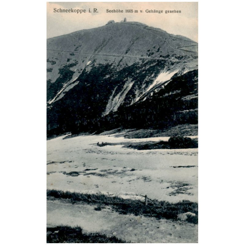 Schneekoppe i. R. Seehöhe 1605 m v. Gehänge gesehen