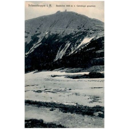 Schneekoppe i. R. Seehöhe 1605 m v. Gehänge gesehen