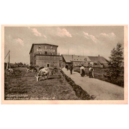 Riesengebirge. Neue Schlesische Baude 1195 m ü. M.