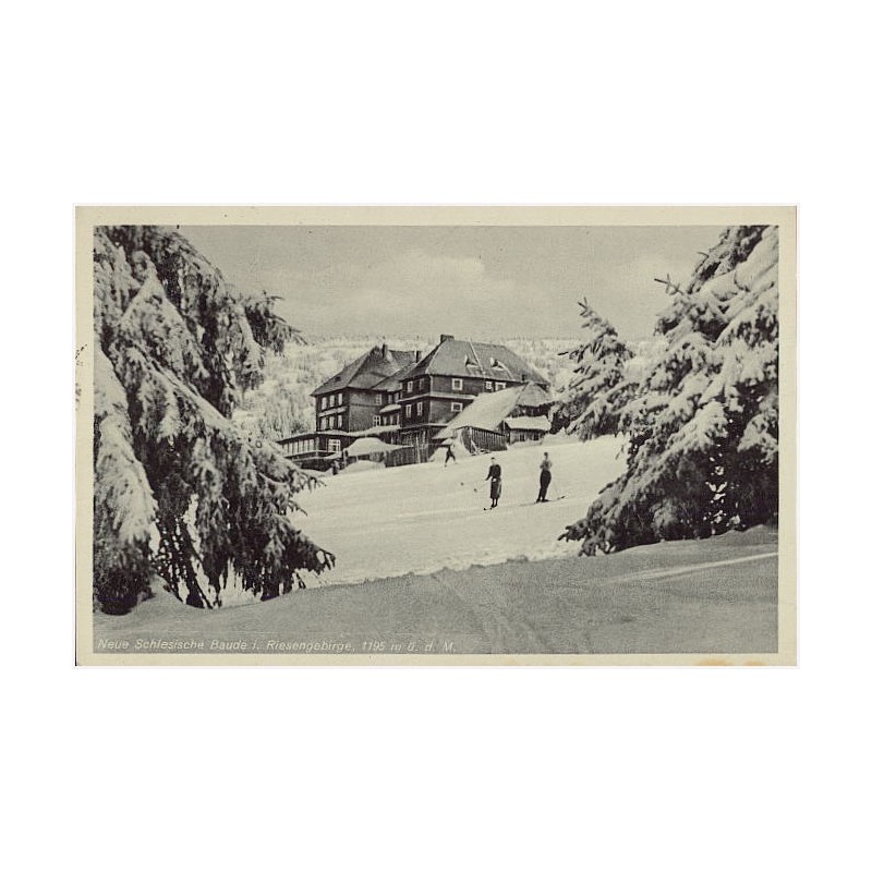 Neue Schlesische Baude i. Riesengebirge, 1195 m ü. d. M