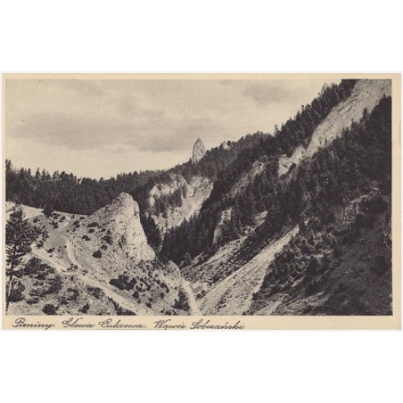 Pieniny. Głowa Cukrowa. Wąwóz Sobczański
