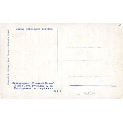 Wzory haftu ukraińskiego / Зpaзки yкpaїнcькиx вишивoк. [...] 113