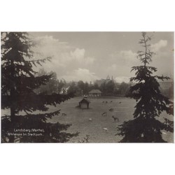 Landsberg (Warthe), Wildwiese im Stadtpark. 74