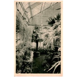 Gliwice - Palmiarnia Miejska. Foto - Wenus - Gliwice