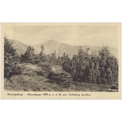 Riesengebirge - Schneekoppe 1605 m ü. d. M. vom Fuchsberg gesehen