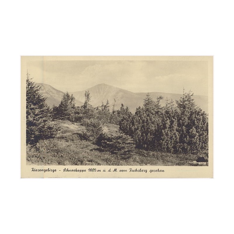 Riesengebirge - Schneekoppe 1605 m ü. d. M. vom Fuchsberg gesehen