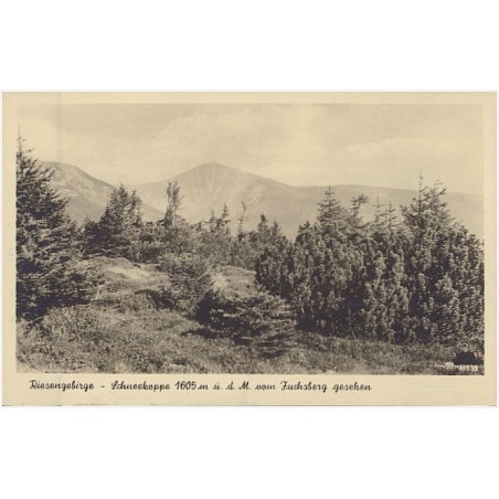 Riesengebirge - Schneekoppe 1605 m ü. d. M. vom Fuchsberg gesehen