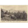 Riesengebirge - Schneekoppe 1605 m ü. d. M. vom Fuchsberg gesehen