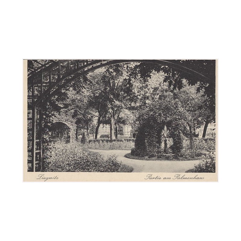 Liegnitz. Partie am Palmenhaus