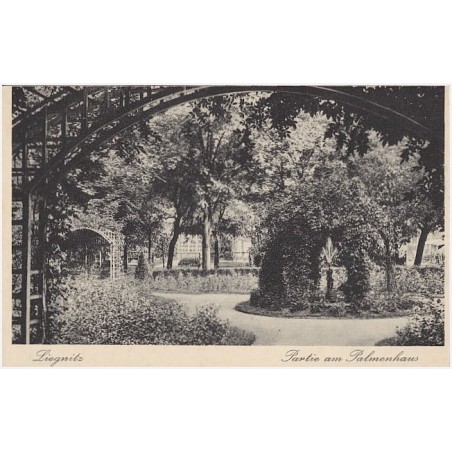 Liegnitz. Partie am Palmenhaus