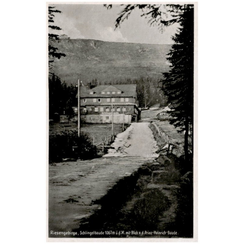 Riesengebirge, Schlingelbaude 1067 m ü. d. M. mit Blick n. d. Prinz-Heinrich-Baude.