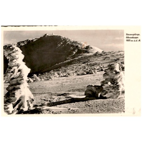 Riesengebirge, Schneekoppe 1605 m ü. d. M. 5125