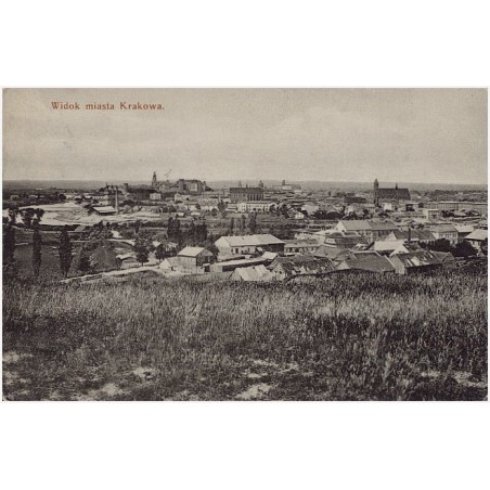 Widok miasta Krakowa