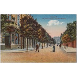 Tarnopol. Ul. Gołuchowskiego. Goluchowski-Gasse