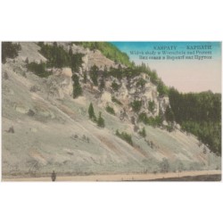 Karpaty - [...] Widok skały w Worochcie nad Prutem [...]