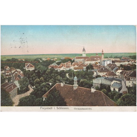Freystadt i. Schlesien. Gesamtansicht