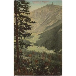 Riesengrund mit Schneekoppe. (Riesengebirge.) 1605 m / Obří důl