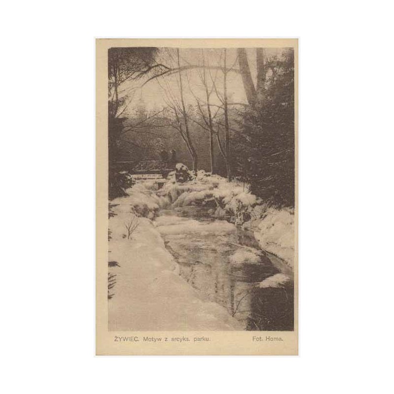 Żywiec. Motyw z arcyks. parku