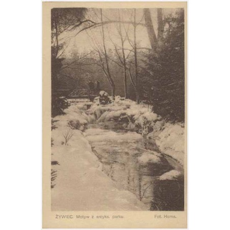 Żywiec. Motyw z arcyks. parku