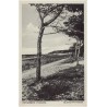 Ostseebad Misdroy. Quistorp-Promenade