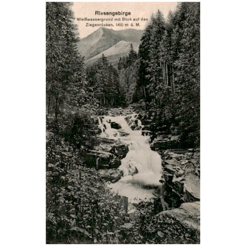 Riesengebirge. Weißwassergrund mit Blick auf den Ziegenrücken, 1410 m ü. M.