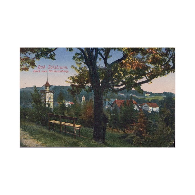 Bad Salzbrunn. Blick vom Birnbaumberg