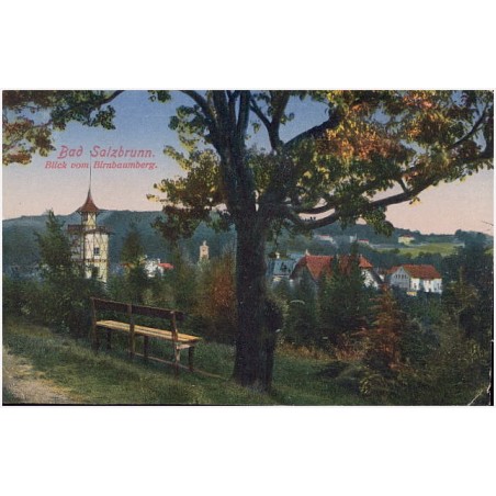 Bad Salzbrunn. Blick vom Birnbaumberg