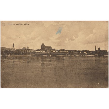 Toruń. Ogólny widok
